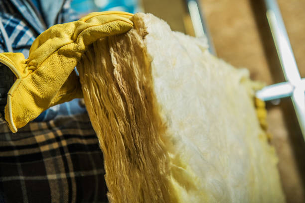 Best Insulation Maintenance and Repair in Borden, IN